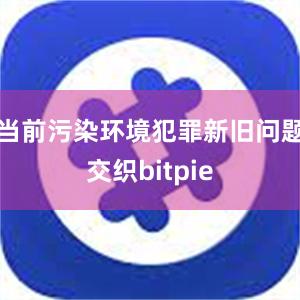 当前污染环境犯罪新旧问题交织bitpie